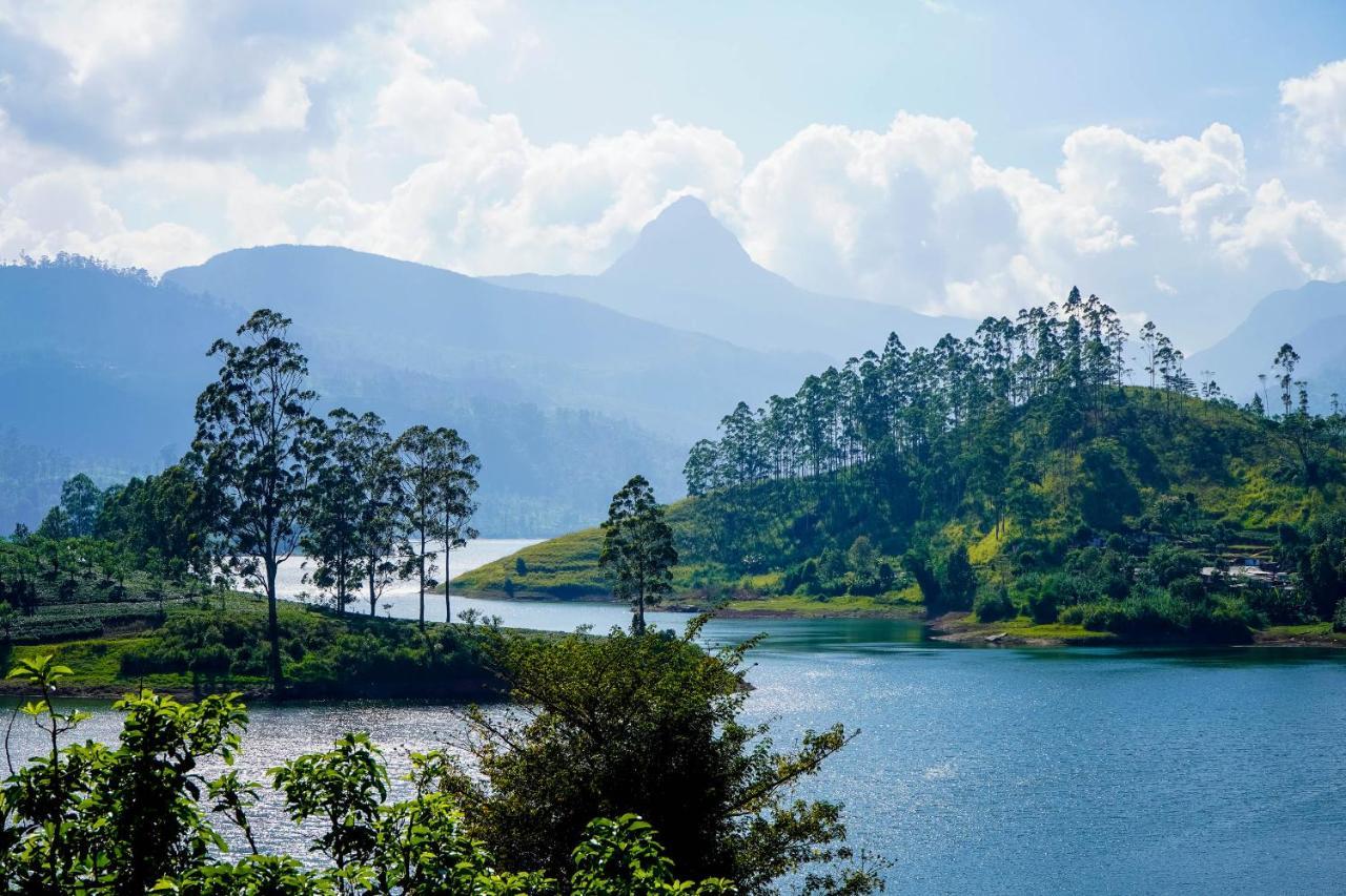 Pekoe Lodge Maskeliya 外观 照片